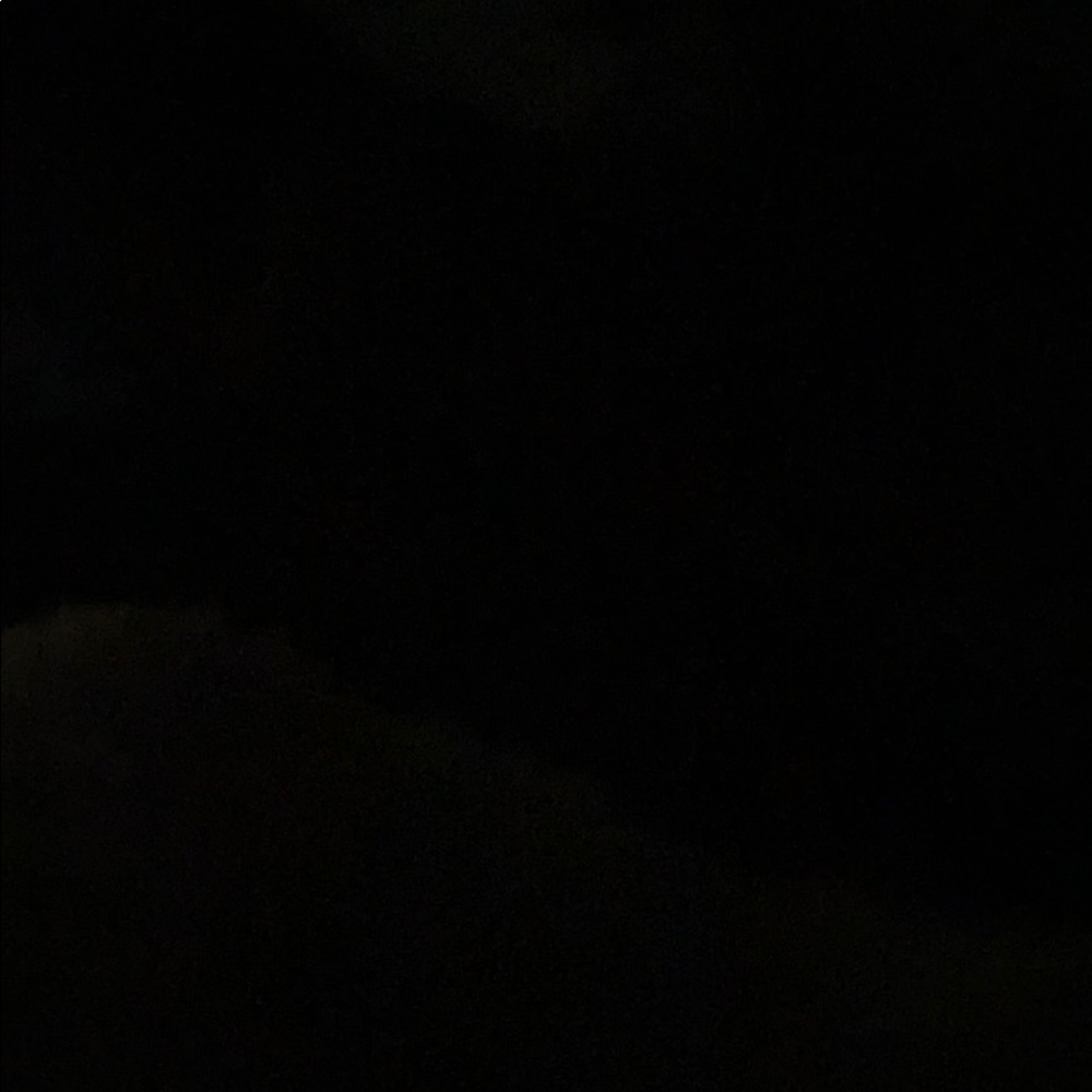 Meet your Posher, Delany